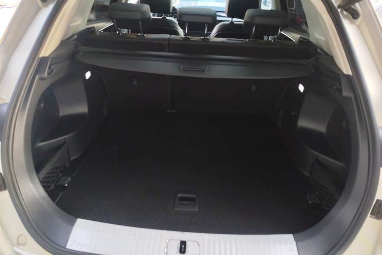 Used Hongqi HS5 2022 Facelifted Version 2.0T Smart Connect Flagship All-Wheel-Drive Edition Trunk
