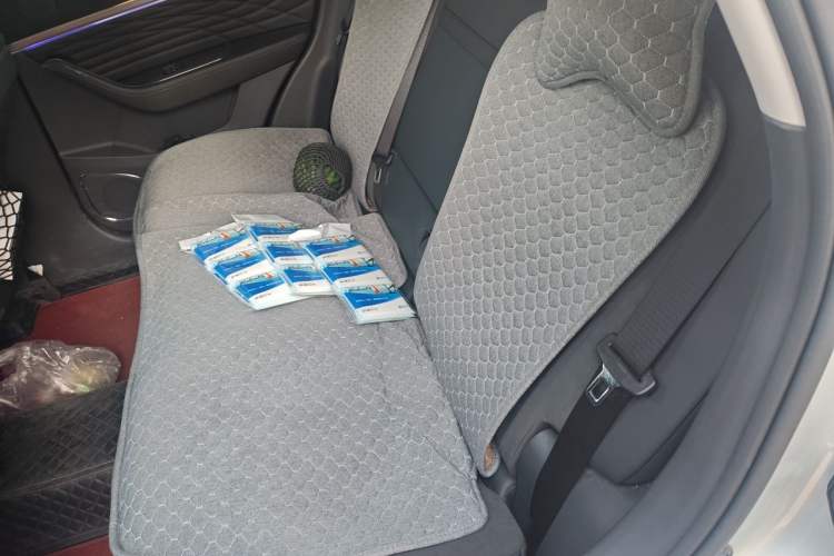Used Hongqi HS5 2022 Facelifted Version 2.0T Smart Connect Flagship All-Wheel-Drive Edition Left Rear Seat
