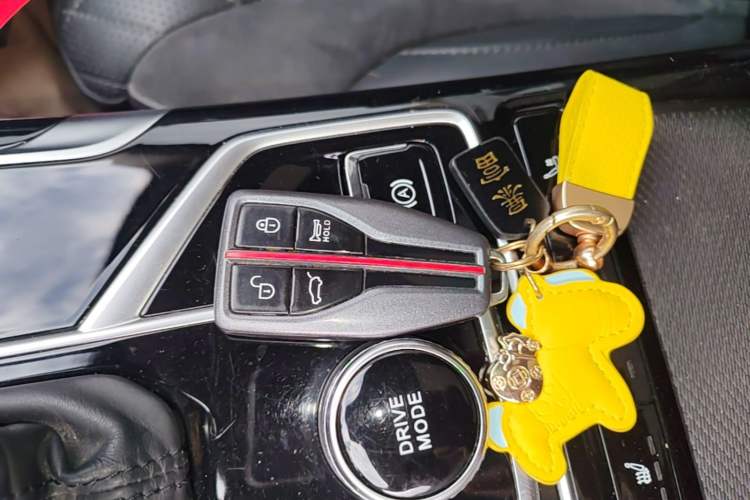 Used Hongqi HS5 2022 Revised Version 2.0T Smart Connect Flagship Edition Vehicle Key