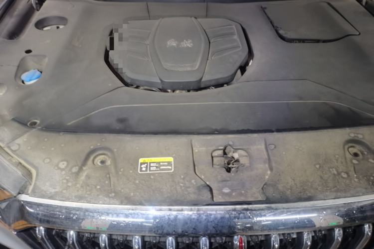 Used Hongqi HS5 2022 Facelifted Version 2.0T Smart Connect Flagship All-Wheel-Drive Edition Engine Bay