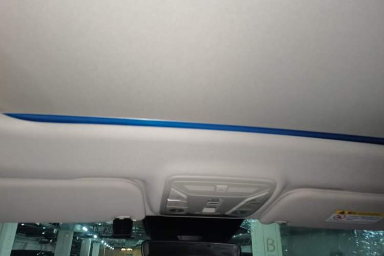 Used Hongqi HS5 2022 Facelifted Version 2.0T Smart Connect Flagship All-Wheel-Drive Edition Headliner