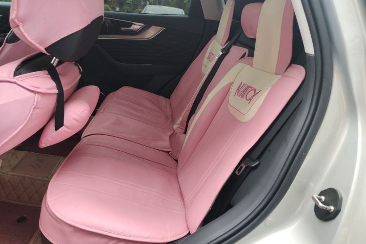 Used Hongqi HS5 2022 Facelifted Version 2.0T Smart Connect Flagship All-Wheel-Drive Edition Left Rear Seat