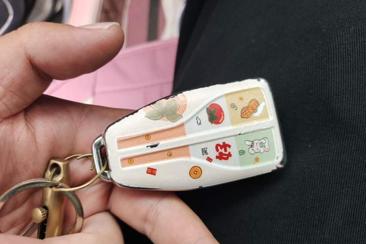 Used Hongqi HS5 2022 Facelifted Version 2.0T Smart Connect Flagship All-Wheel-Drive Edition Vehicle Key