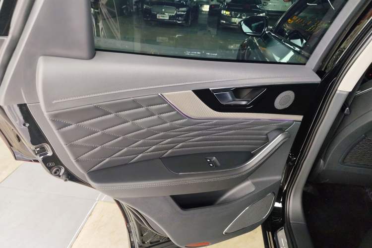 Used Hongqi HS5 2022 Facelifted Version 2.0T Smart Connect Flagship All-Wheel-Drive Edition Left Rear Door Interior
