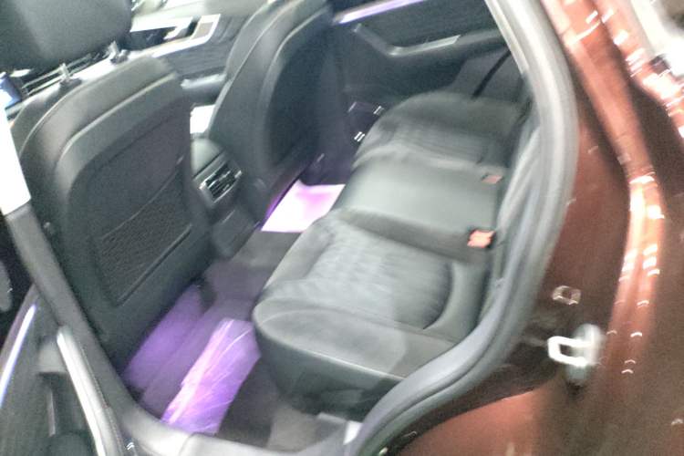 Used Hongqi HS5 2022 Facelifted Version 2.0T Smart Connect Flagship All-Wheel-Drive Edition Left Rear Seat