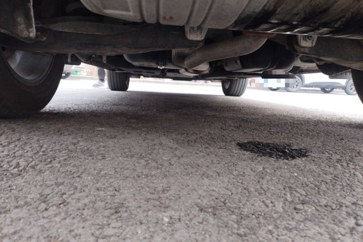 Used Hongqi HS5 2022 Revised Version 2.0T Smart Connect Flagship Edition Chassis Rear