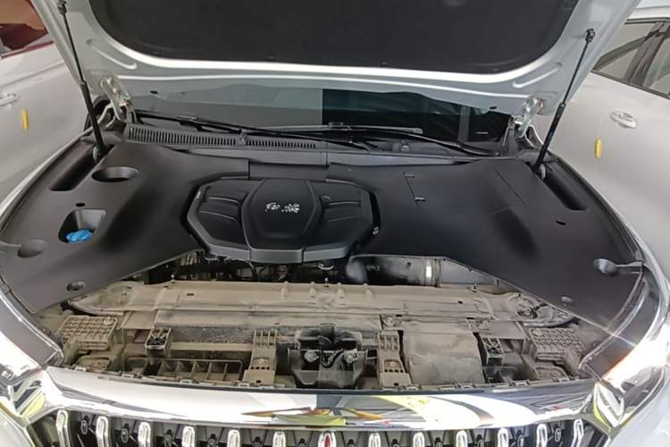 Used Hongqi HS5 2022 Facelifted Version 2.0T Smart Connect Flagship All-Wheel-Drive Edition Engine Bay