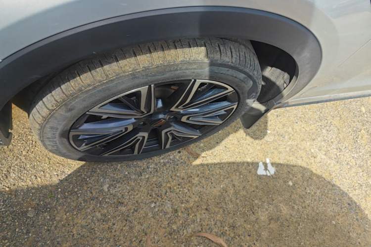 Used Hongqi HS5 2022 Facelifted Version 2.0T Smart Connect Flagship All-Wheel-Drive Edition Exterior 4
