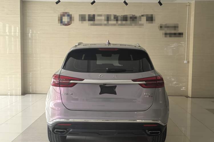 Used Hongqi HS5 2022 Revised Version 2.0T Smart Connect Flagship Edition Exterior 7