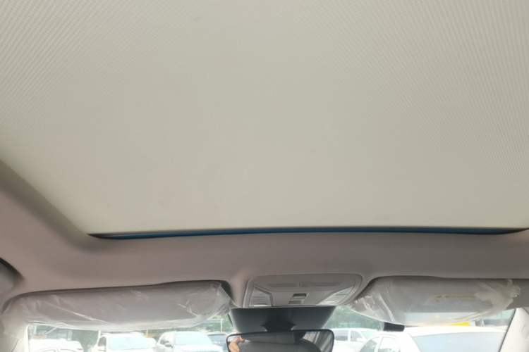 Used Hongqi HS5 2022 Facelifted Version 2.0T Smart Connect Flagship All-Wheel-Drive Edition Headliner