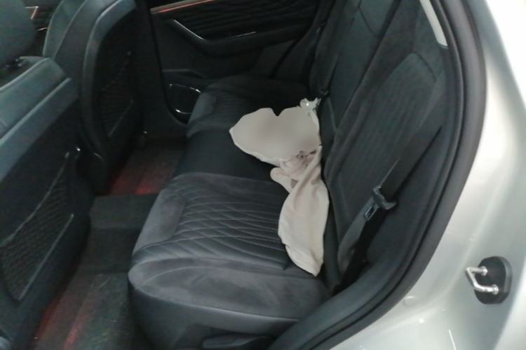 Used Hongqi HS5 2022 Revised Version 2.0T Smart Connect Flagship Edition Left Rear Seat