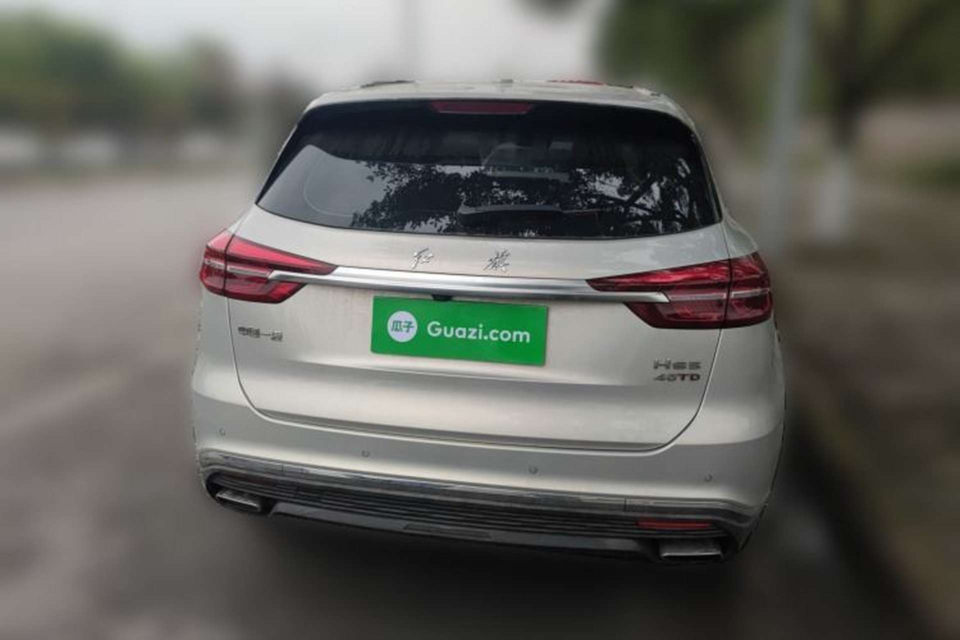 Used Hongqi HS5 2022 2.0T Smart Connect Flagship Edition Rear