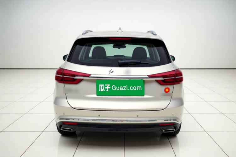 Used Hongqi HS5 2022 Revised Version 2.0T Smart Connect Flagship Edition Rear