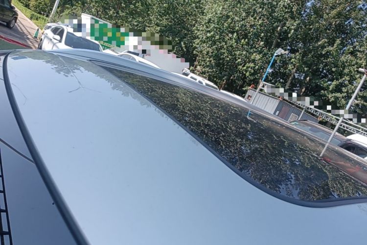 Used Hongqi HS5 2022 Revised Version 2.0T Smart Connect Flagship Edition Roof