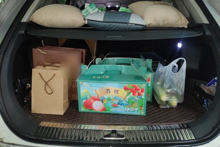 Used Hongqi HS5 2022 2.0T Smart Connect Flagship Edition Trunk