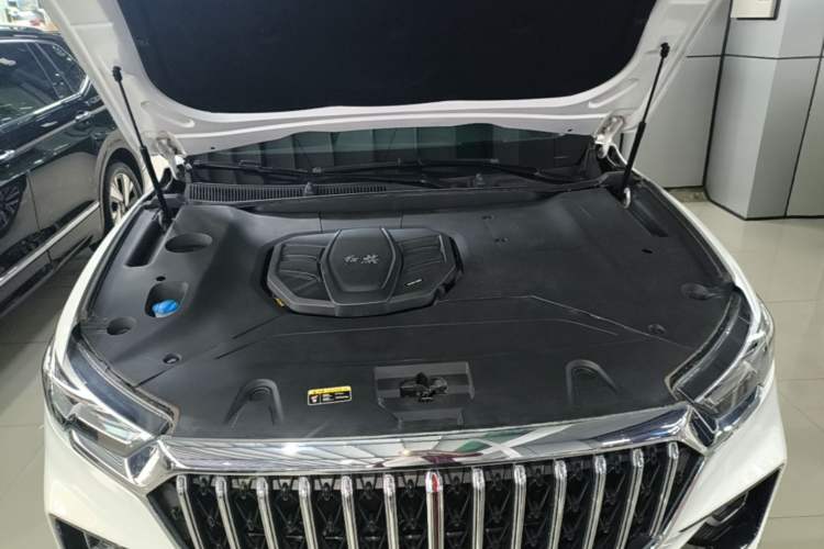 Used Hongqi HS5 2022 Facelifted Version 2.0T Smart Connect Flagship All-Wheel-Drive Edition Engine Bay