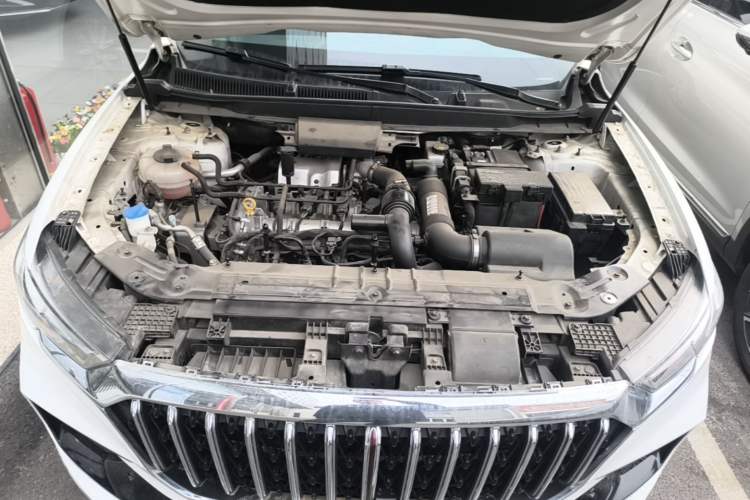 Used Hongqi HS5 2022 Facelifted Version 2.0T Smart Connect Flagship All-Wheel-Drive Edition Engine Bay