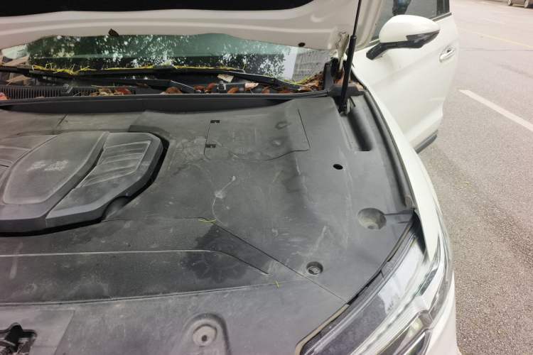 Used Hongqi HS5 2022 Revised Version 2.0T Smart Connect Flagship Edition Engine Bay Left