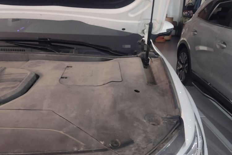 Used Hongqi HS5 2022 Facelifted Version 2.0T Smart Connect Flagship All-Wheel-Drive Edition Engine Bay Left