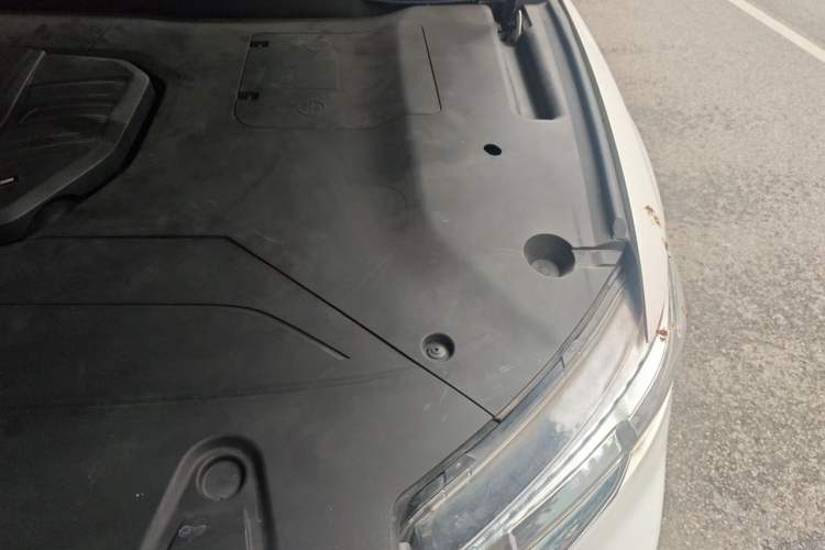 Used Hongqi HS5 2022 Facelifted Version 2.0T Smart Connect Flagship All-Wheel-Drive Edition Engine Bay Left