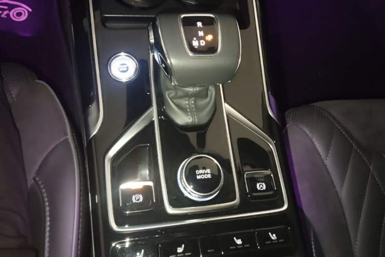 Used Hongqi HS5 2022 Facelifted Version 2.0T Smart Connect Flagship All-Wheel-Drive Edition Gear Lever