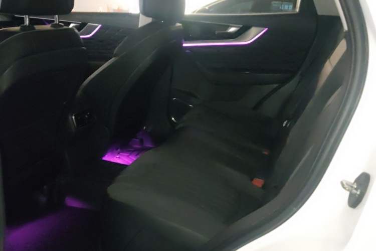 Used Hongqi HS5 2022 Facelifted Version 2.0T Smart Connect Flagship All-Wheel-Drive Edition Left Rear Seat