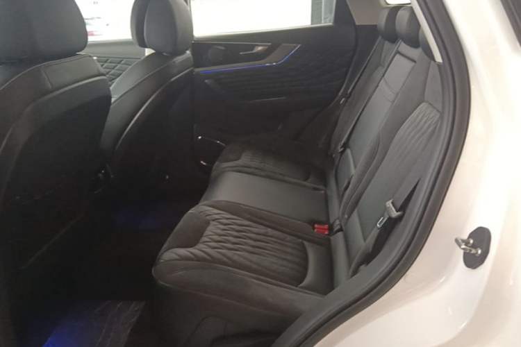 Used Hongqi HS5 2022 Facelifted Version 2.0T Smart Connect Flagship All-Wheel-Drive Edition Left Rear Seat