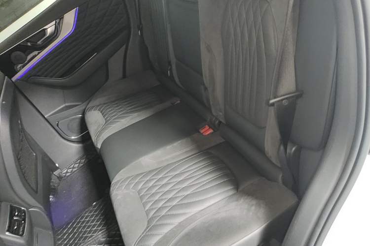 Used Hongqi HS5 2022 Facelifted Version 2.0T Smart Connect Flagship All-Wheel-Drive Edition Left Rear Seat