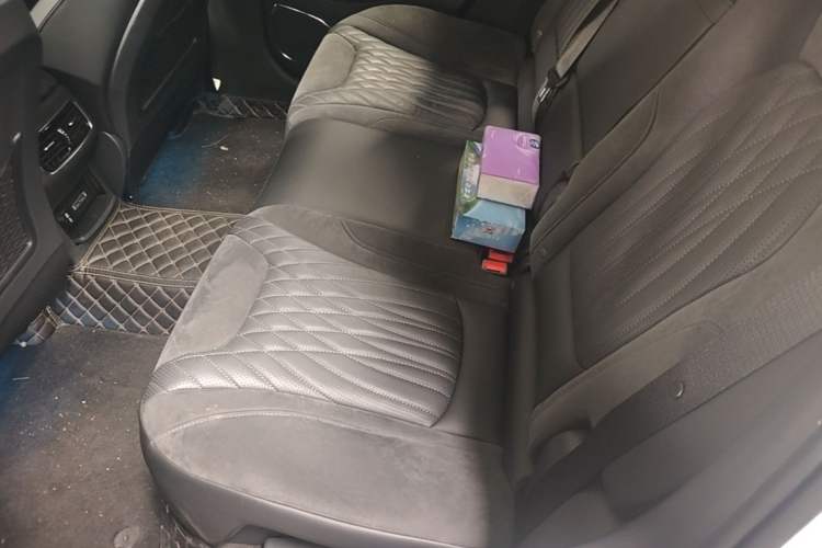 Used Hongqi HS5 2022 Revised Version 2.0T Smart Connect Flagship Edition Left Rear Seat