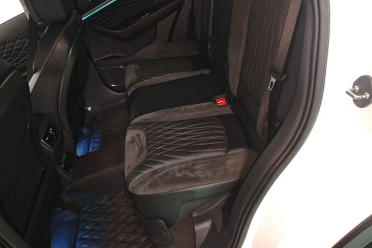 Used Hongqi HS5 2022 Facelifted Version 2.0T Smart Connect Flagship All-Wheel-Drive Edition Left Rear Seat