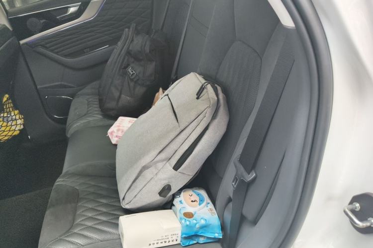 Used Hongqi HS5 2022 2.0T Smart Connect Flagship All-Wheel-Drive Version Left Rear Seat