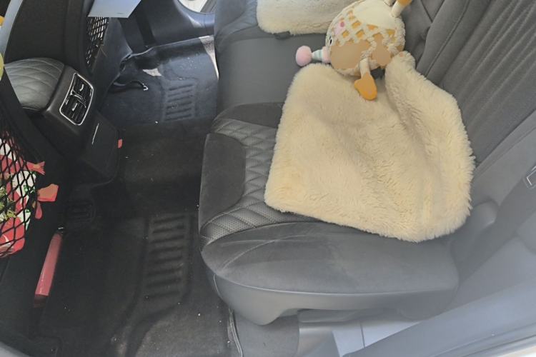 Used Hongqi HS5 2022 Revised Version 2.0T Smart Connect Flagship Edition Left Rear Seat