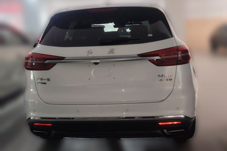 Used Hongqi HS5 2022 Facelifted Version 2.0T Smart Connect Flagship All-Wheel-Drive Edition Rear