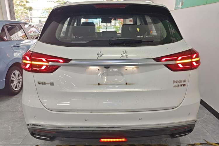 Used Hongqi HS5 2022 Revised Version 2.0T Smart Connect Flagship Edition Rear