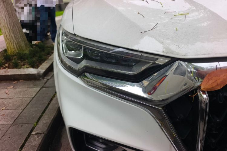 Used Hongqi HS5 2022 Revised Version 2.0T Smart Connect Flagship Edition Right Front Headlight