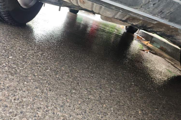 Used Hongqi HS5 2022 2.0T Smart Connect Flagship Edition Chassis Rear