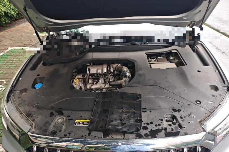 Used Hongqi HS5 2022 2.0T Smart Connect Flagship Edition Engine Bay