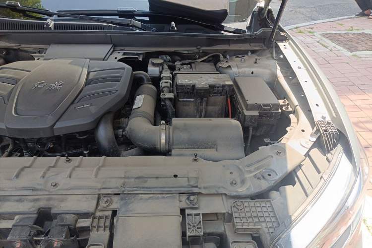 Used Hongqi HS5 2022 2.0T Smart Connect Flagship All-Wheel-Drive Version Engine Bay Left