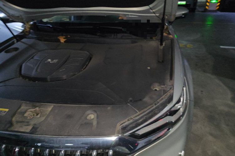 Used Hongqi HS5 2022 Revised Version 2.0T Smart Connect Flagship Edition Engine Bay Left