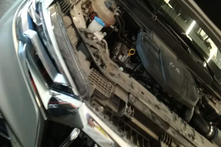 Used Hongqi HS5 2022 Revised Version 2.0T Smart Connect Flagship Edition Engine Bay Right