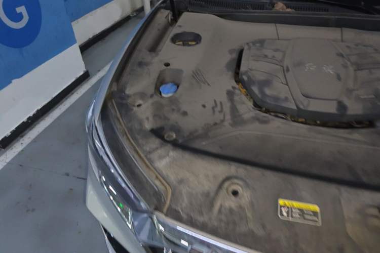 Used Hongqi HS5 2022 Facelifted Version 2.0T Smart Connect Flagship All-Wheel-Drive Edition Engine Bay Right