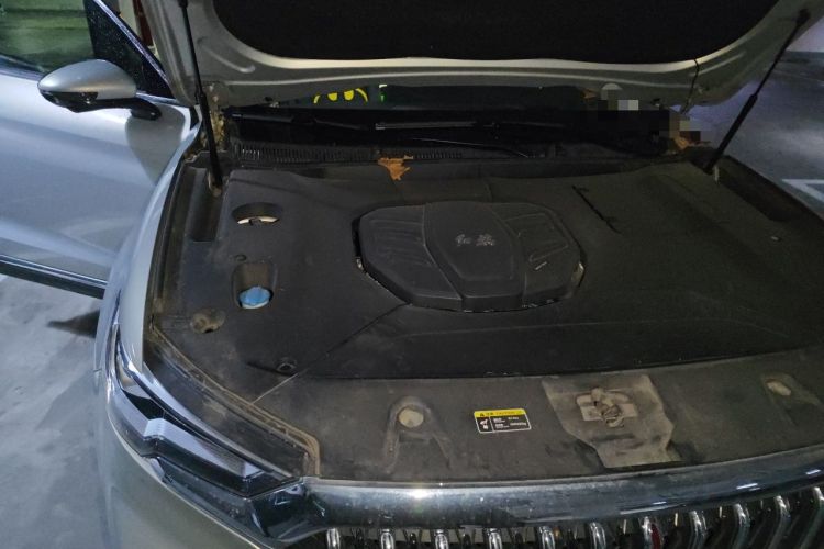 Used Hongqi HS5 2022 Revised Version 2.0T Smart Connect Flagship Edition Engine Bay Right