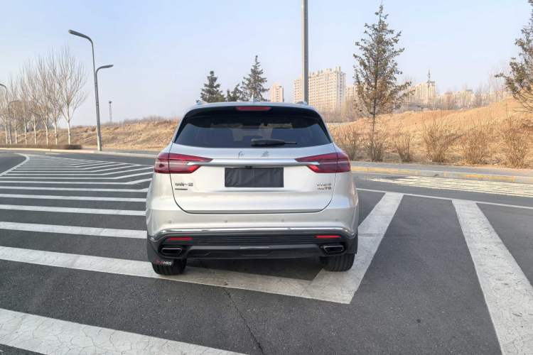 Used Hongqi HS5 2022 Facelifted Version 2.0T Smart Connect Flagship All-Wheel-Drive Edition Exterior 4