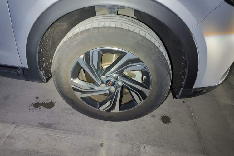 Used Hongqi HS5 2022 2.0T Smart Connect Flagship Enjoyment Purchase Edition Exterior 7