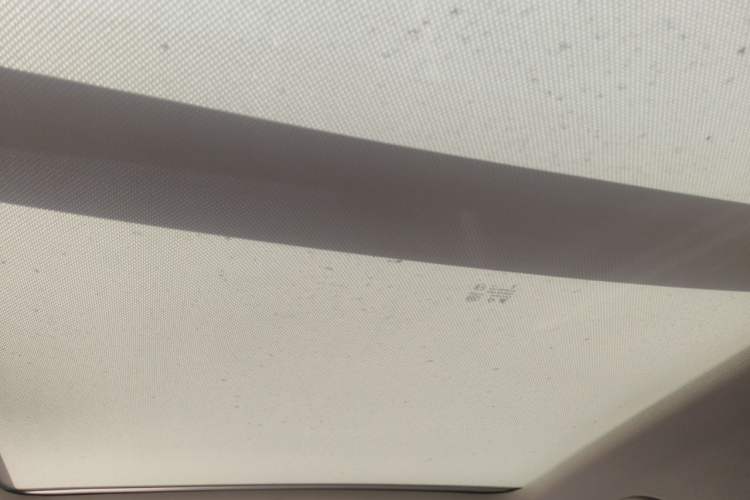 Used Hongqi HS5 2022 2.0T Smart Connect Flagship Edition Headliner