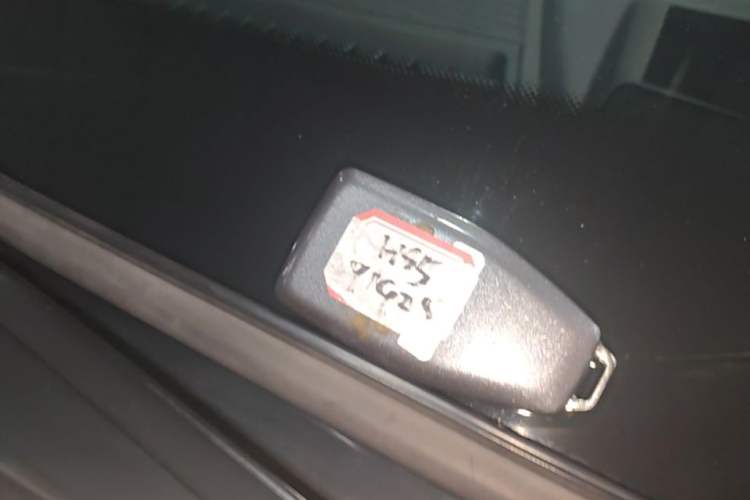 Used Hongqi HS5 2022 2.0T Smart Connect Flagship Enjoyment Purchase Edition Interior 1
