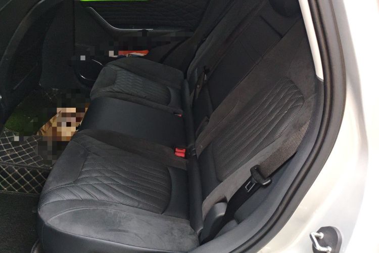 Used Hongqi HS5 2022 Revised Version 2.0T Smart Connect Flagship Edition Left Rear Seat
