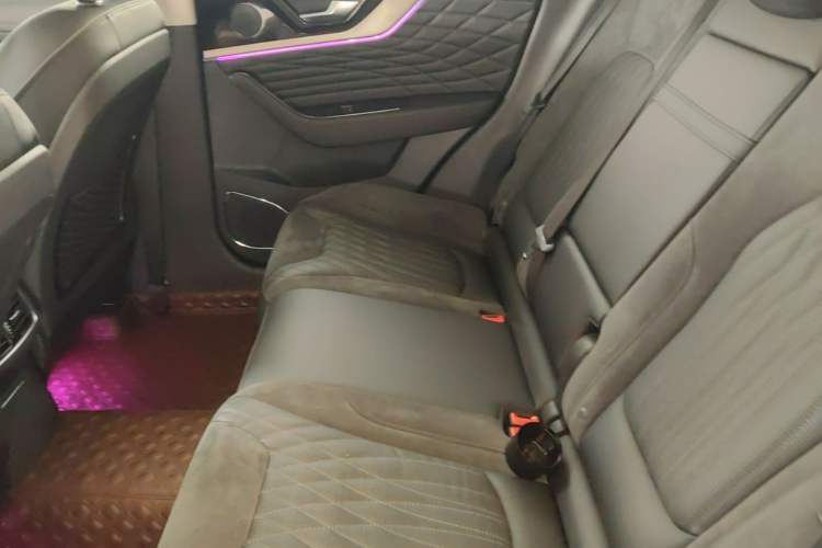 Used Hongqi HS5 2022 Facelifted Version 2.0T Smart Connect Flagship All-Wheel-Drive Edition Left Rear Seat