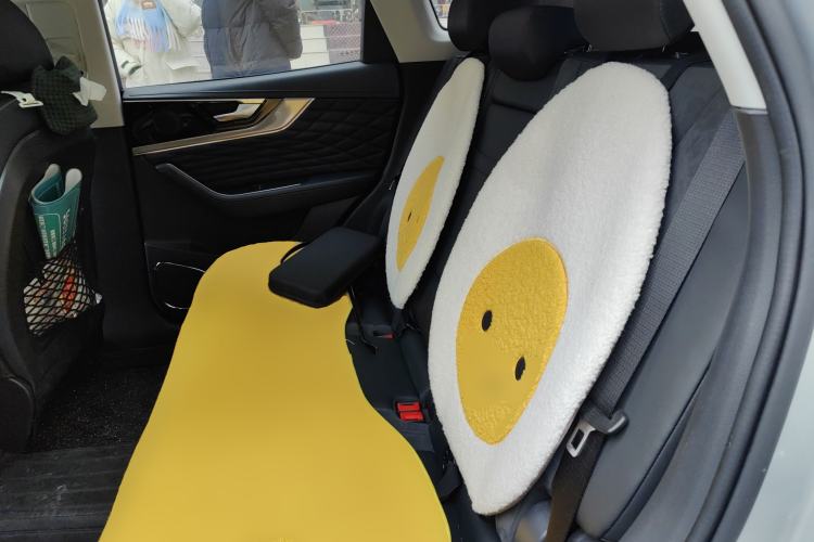 Used Hongqi HS5 2022 Revised Version 2.0T Smart Connect Flagship Edition Left Rear Seat