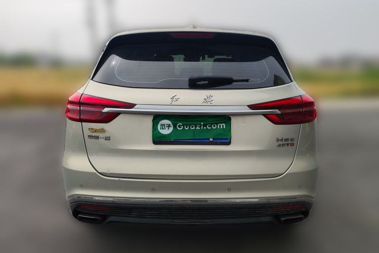 Used Hongqi HS5 2022 2.0T Smart Connect Flagship Edition Rear